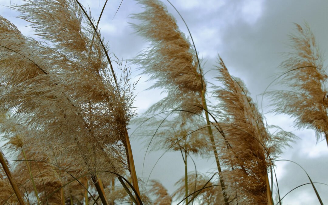 IHONHOITO SYKSYLLÄ, LUE PARHAAT VINKIT!